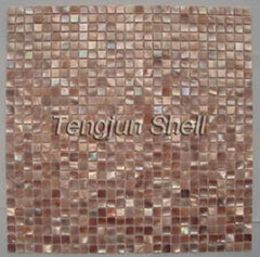 shell mosaic
