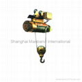 Electric Wire Rope Hoist 