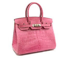 Fashion handbag 2
