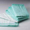 Incontinence Pad, underpad 1