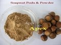 Soap nut Pods & Soap nut Powder
