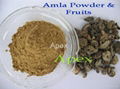 Amla dry Fruit & Amla Powder 1