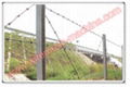 Galvanized barbed iron wire