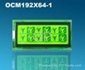  LCD Module19264-1 1
