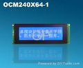 LCD Module 24064 1