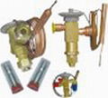 Expansion Valve