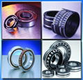 Deep Groove Ball Bearings 1