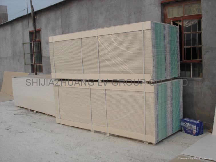 Paper faced gypsum board