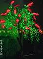 LED Callistemon salignus tree light