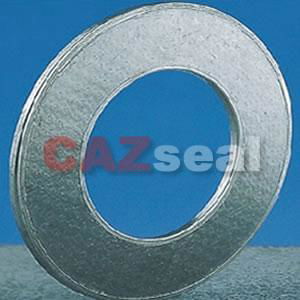 Spiral Wound Gasket 2