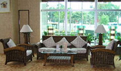 6 pcs rattan sofa set