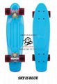 PENNY SKATEBOARD MINI SKATE BOARD 1