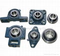 Pillow block bearings