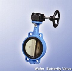 Buttefly valve with pin