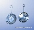 Singe door swing check valve 1