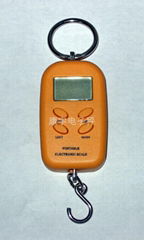 Portable Electronic Scale