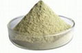 xanthan gum food grade 80 mesh 1