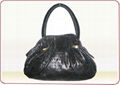 Ladies Handbag 1