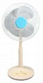 Stand Electric Fan 1