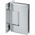 Shower hinge 1