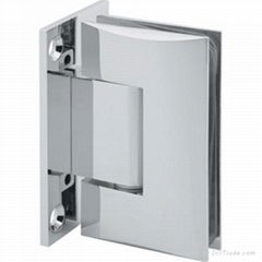 Shower hinge