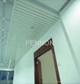 MODEL-U STRIP CEILING 1