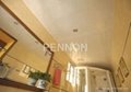 C TYPE  RIGHT ANGLE VERTICAL STRIP  CEILING 1