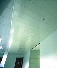 MODEL-D STRIP CEILING