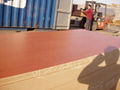 Melamine MDF 1