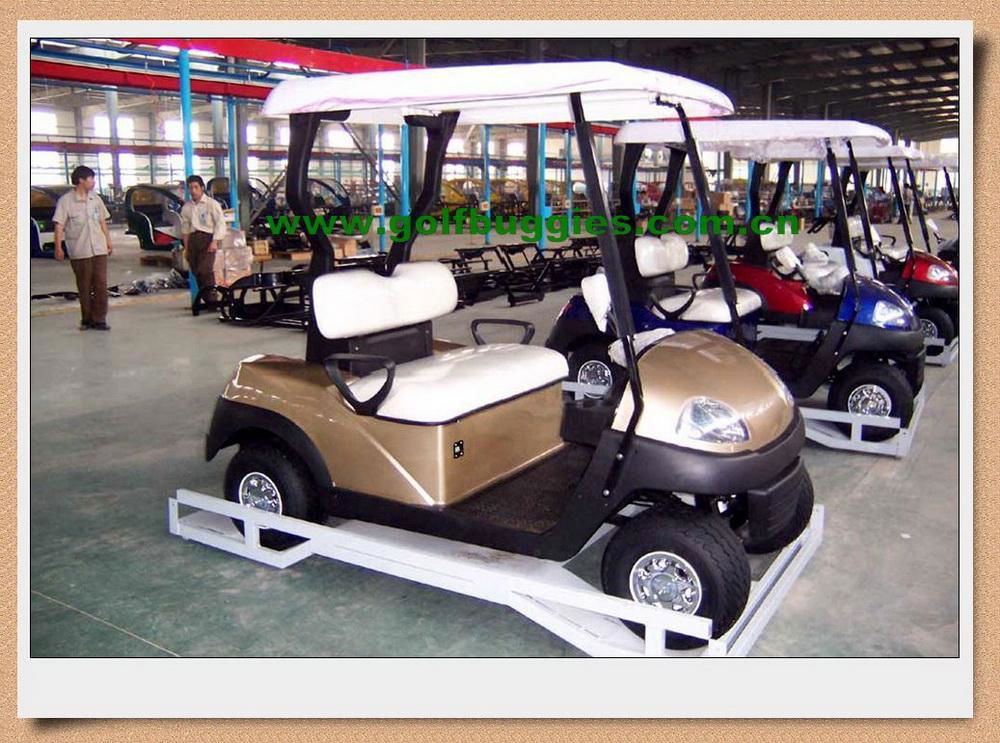 Electric golf cart(CURTIS controller & TROJAN batteries) from Manufactory