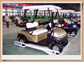 Electric golf cart(CURTIS controller &