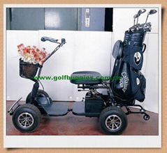 Electric golf carts(with CURTIS controller) from Manufactory