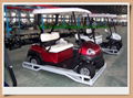 Electric golf cart(CURTIS controller &