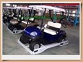 Two seater golf carts (CURTIS controller & TROJAN batteries) from Manufactory 1