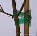 Tree Tie 1