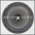 10" subwoofer