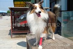 Veterinary Used Adhesive Bandage(KZT)