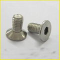 machine screws