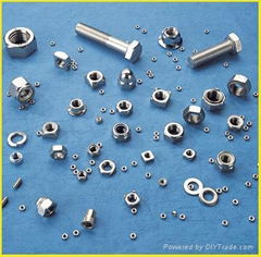 stainless steel fastener