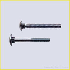 carriage bolt