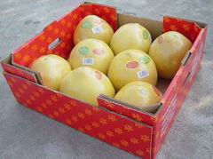 Honey pomelo