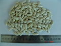 white kidney beans 3