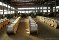 Galvanized Steel Cable