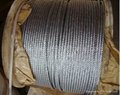 Non-Galvanized and Galvanized Steel Wire Rope