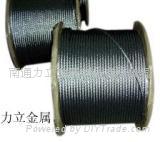 Steel wire ropes