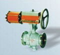 Special Injection Coal Ball Valve 1