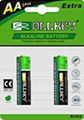 Heavy Duty Battery