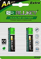 Heavy Duty Battery  