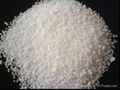 Stearic Acid