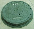 drain cover